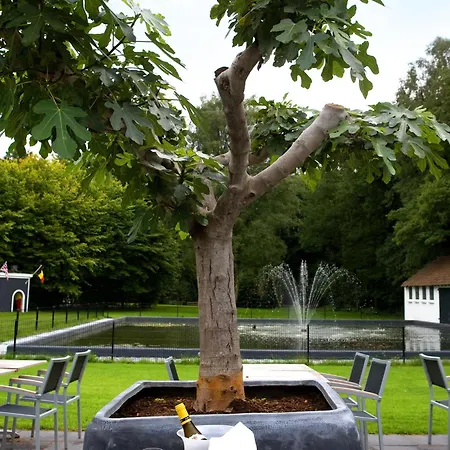 Fletcher Restaurant Erica Berg en Dal