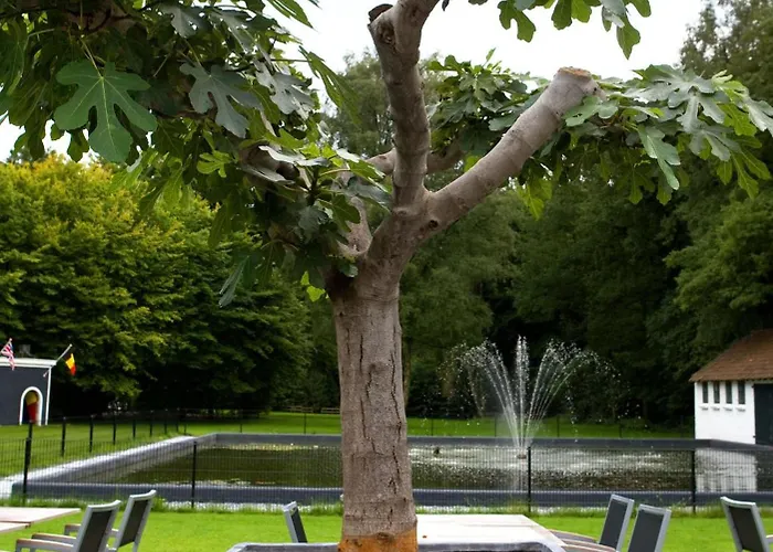 Fletcher Restaurant Erica Berg en Dal